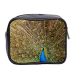 Peacock Plumage Bird Peafowl Mini Toiletries Bag (Two Sides) Back