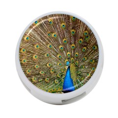 Peacock Plumage Bird Peafowl 4-port Usb Hub (two Sides) by Wegoenart