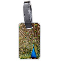 Peacock Plumage Bird Peafowl Luggage Tags (one Side)  by Wegoenart