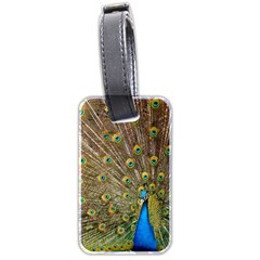 Peacock Plumage Bird Peafowl Luggage Tags (two Sides) by Wegoenart