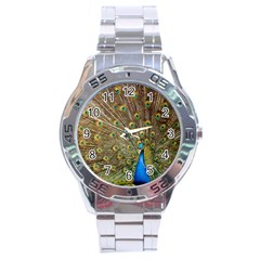 Peacock Plumage Bird Peafowl Stainless Steel Analogue Watch by Wegoenart