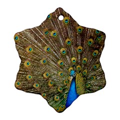 Peacock Plumage Bird Peafowl Ornament (snowflake) by Wegoenart