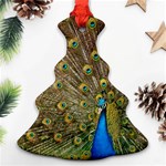 Peacock Plumage Bird Peafowl Christmas Tree Ornament (Two Sides) Front