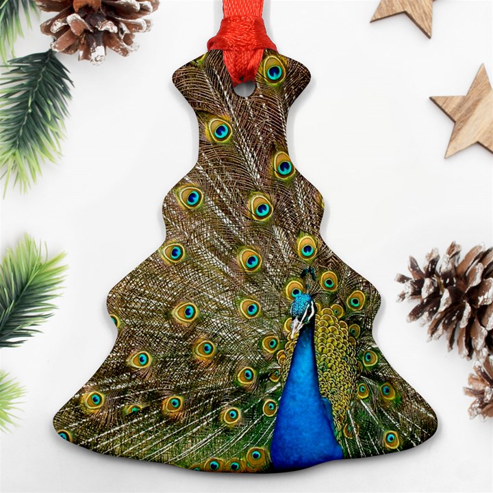 Peacock Plumage Bird Peafowl Christmas Tree Ornament (Two Sides)