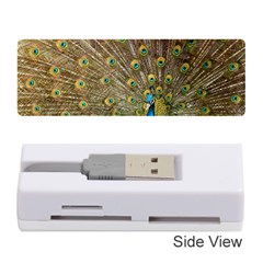 Peacock Plumage Bird Peafowl Memory Card Reader (stick) by Wegoenart