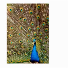 Peacock Plumage Bird Peafowl Large Garden Flag (two Sides) by Wegoenart