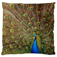 Peacock Plumage Bird Peafowl Large Cushion Case (one Side) by Wegoenart