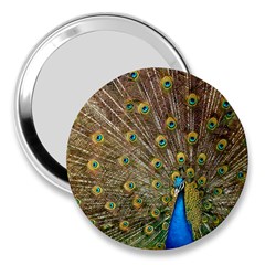 Peacock Plumage Bird Peafowl 3  Handbag Mirrors by Wegoenart