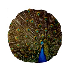 Peacock Plumage Bird Peafowl Standard 15  Premium Round Cushions by Wegoenart