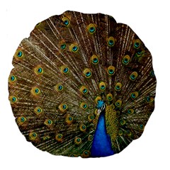 Peacock Plumage Bird Peafowl Large 18  Premium Round Cushions by Wegoenart