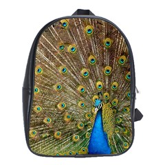 Peacock Plumage Bird Peafowl School Bag (xl) by Wegoenart