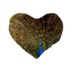 Peacock Plumage Bird Peafowl Standard 16  Premium Heart Shape Cushions by Wegoenart