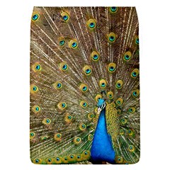 Peacock Plumage Bird Peafowl Removable Flap Cover (s) by Wegoenart