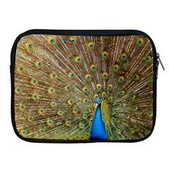 Peacock Plumage Bird Peafowl Apple Ipad 2/3/4 Zipper Cases by Wegoenart