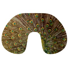 Peacock Plumage Bird Peafowl Travel Neck Pillows by Wegoenart