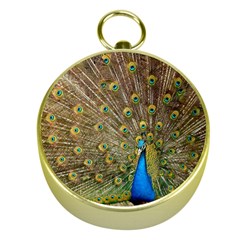 Peacock Plumage Bird Peafowl Gold Compasses by Wegoenart