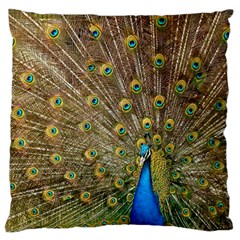 Peacock Plumage Bird Peafowl Large Flano Cushion Case (one Side) by Wegoenart