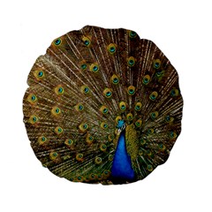 Peacock Plumage Bird Peafowl Standard 15  Premium Flano Round Cushions by Wegoenart