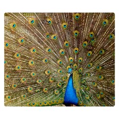 Peacock Plumage Bird Peafowl Double Sided Flano Blanket (small)  by Wegoenart