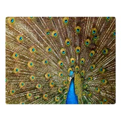 Peacock Plumage Bird Peafowl Double Sided Flano Blanket (large)  by Wegoenart