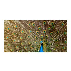 Peacock Plumage Bird Peafowl Satin Wrap by Wegoenart