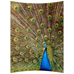 Peacock Plumage Bird Peafowl Back Support Cushion by Wegoenart