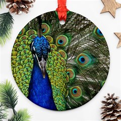 Peacock Close Up Plumage Bird Head Ornament (round) by Wegoenart