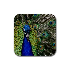 Peacock Close Up Plumage Bird Head Rubber Square Coaster (4 Pack)  by Wegoenart