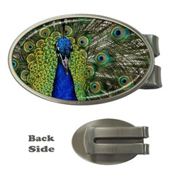 Peacock Close Up Plumage Bird Head Money Clips (oval)  by Wegoenart