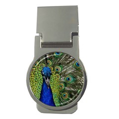 Peacock Close Up Plumage Bird Head Money Clips (round)  by Wegoenart