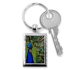 Peacock Close Up Plumage Bird Head Key Chains (rectangle)  by Wegoenart