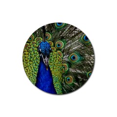 Peacock Close Up Plumage Bird Head Rubber Round Coaster (4 Pack)  by Wegoenart