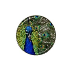 Peacock Close Up Plumage Bird Head Hat Clip Ball Marker by Wegoenart