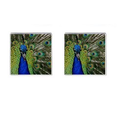 Peacock Close Up Plumage Bird Head Cufflinks (square) by Wegoenart