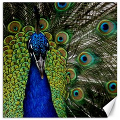 Peacock Close Up Plumage Bird Head Canvas 16  X 16  by Wegoenart