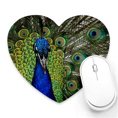 Peacock Close Up Plumage Bird Head Heart Mousepads by Wegoenart