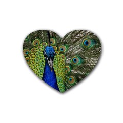 Peacock Close Up Plumage Bird Head Rubber Coaster (heart)  by Wegoenart