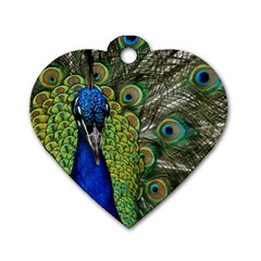 Peacock Close Up Plumage Bird Head Dog Tag Heart (one Side) by Wegoenart