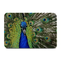 Peacock Close Up Plumage Bird Head Plate Mats by Wegoenart