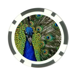 Peacock Close Up Plumage Bird Head Poker Chip Card Guard by Wegoenart