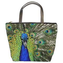 Peacock Close Up Plumage Bird Head Bucket Bag