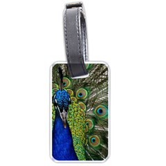 Peacock Close Up Plumage Bird Head Luggage Tags (one Side)  by Wegoenart