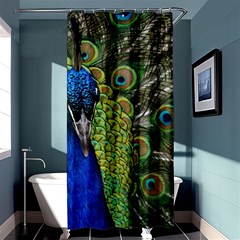 Peacock Close Up Plumage Bird Head Shower Curtain 36  X 72  (stall)  by Wegoenart