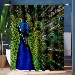 Peacock Close Up Plumage Bird Head Shower Curtain 60  X 72  (medium)  by Wegoenart