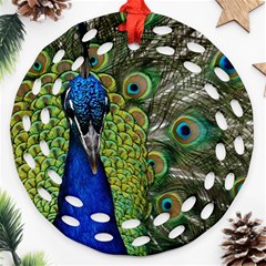 Peacock Close Up Plumage Bird Head Round Filigree Ornament (two Sides)