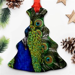 Peacock Close Up Plumage Bird Head Christmas Tree Ornament (two Sides)