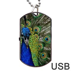 Peacock Close Up Plumage Bird Head Dog Tag Usb Flash (two Sides) by Wegoenart