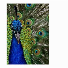 Peacock Close Up Plumage Bird Head Small Garden Flag (two Sides) by Wegoenart