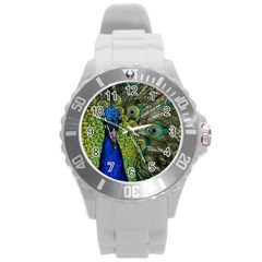 Peacock Close Up Plumage Bird Head Round Plastic Sport Watch (l) by Wegoenart