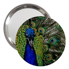 Peacock Close Up Plumage Bird Head 3  Handbag Mirrors by Wegoenart